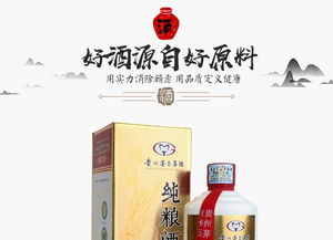醇香之选 探索纯粮酒精酿级500ml 12瓶组合的独特魅力